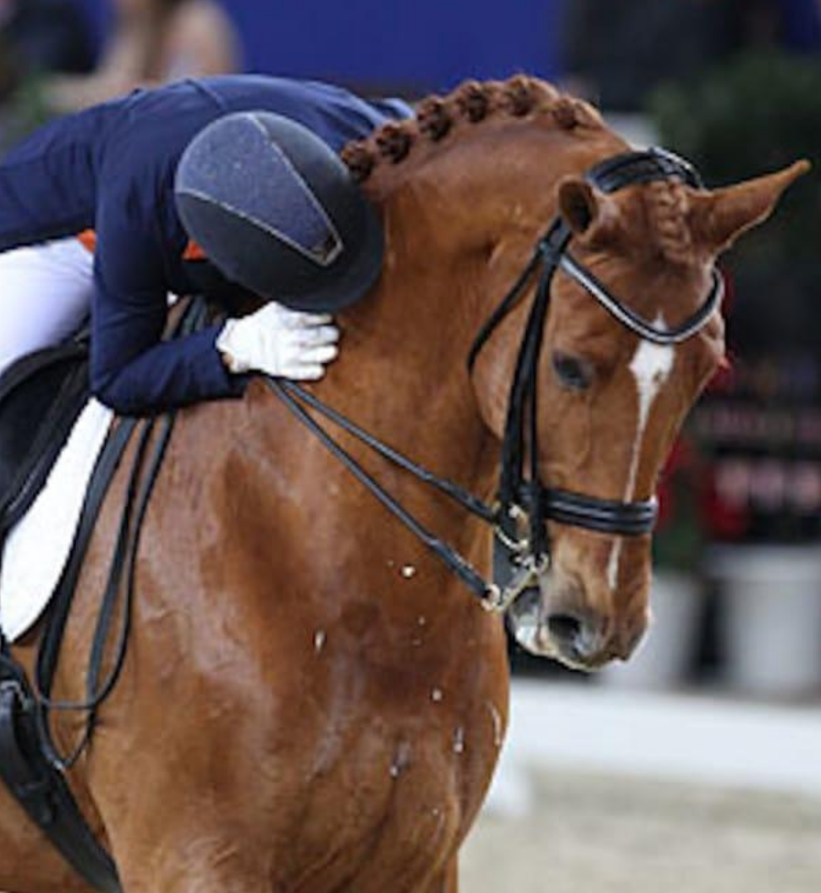 开云体育平台-黎巴嫩选手在马术项目中喜获奖杯